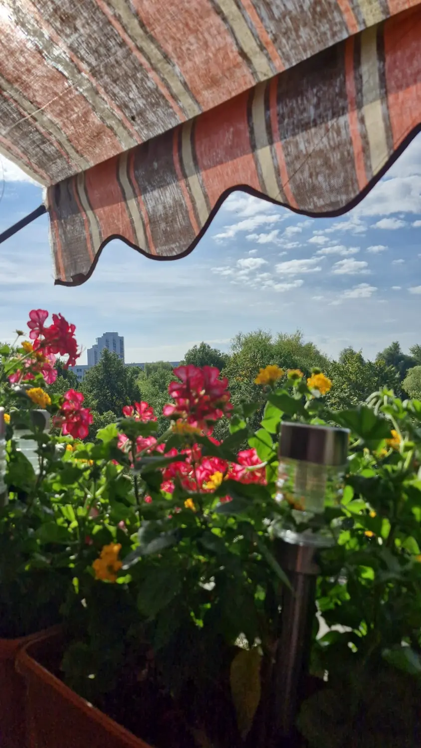 Gemeinsam Wir Betreuungsservice - Blumen