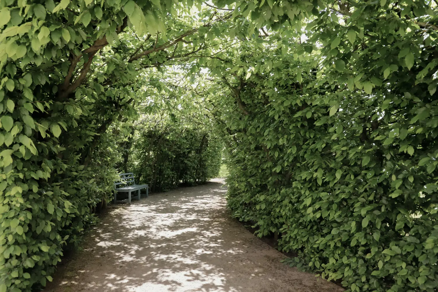Gemeinsam Wir Betreuungsservice - Parkwegwände